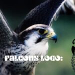 Falcons Logo: A Symbol of Speed, Precision, and Strength