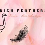 Ostrich-Feathers