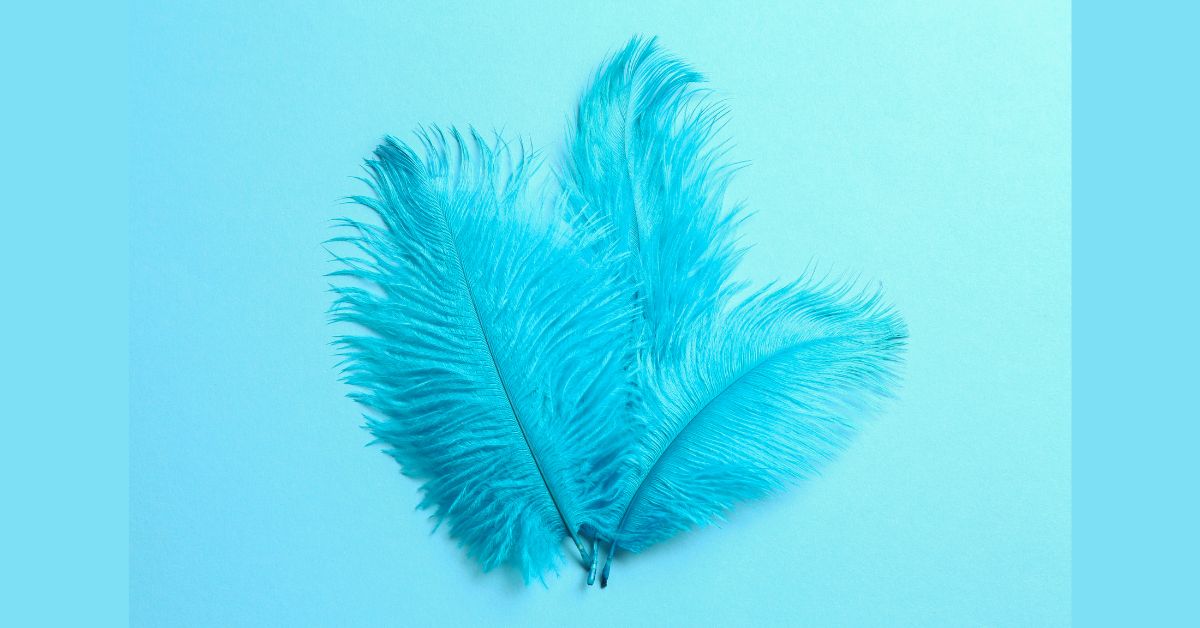 Ostrich-Feathers