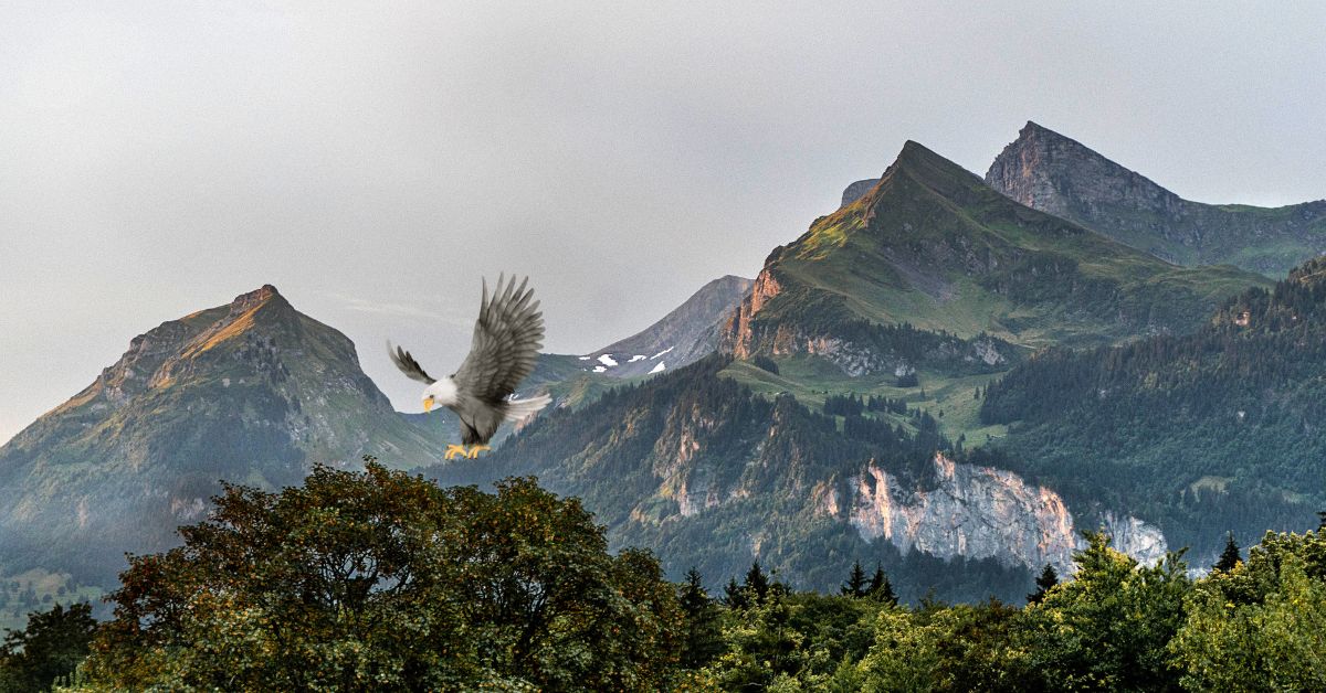 Eagle-Birds