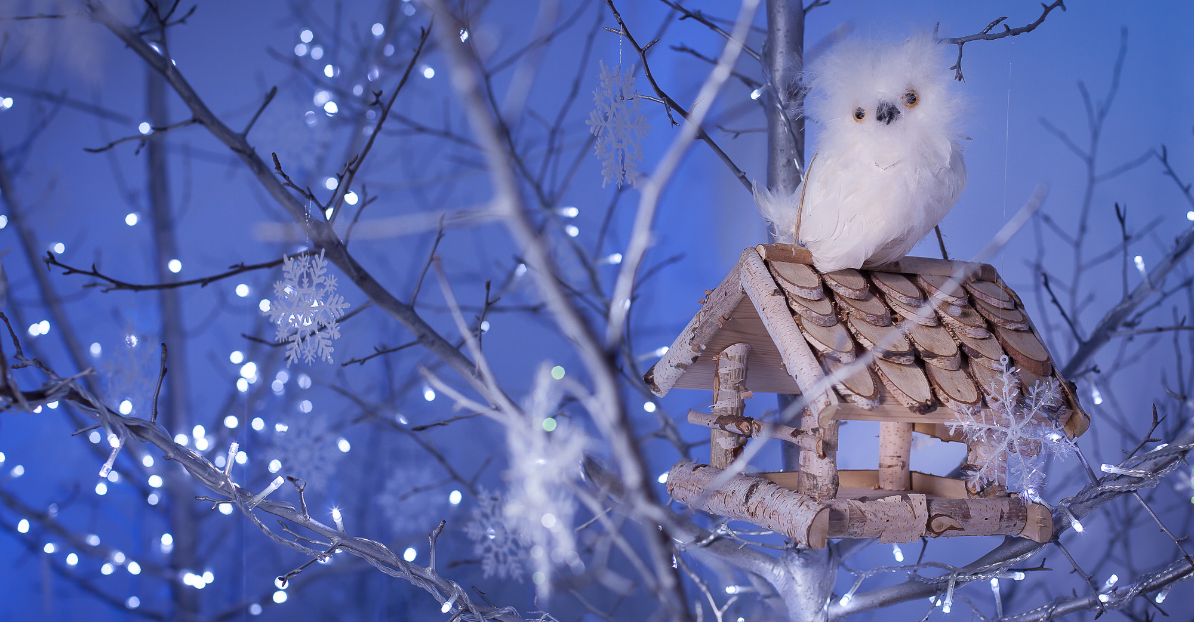 White-Owl-Bird-Bucks