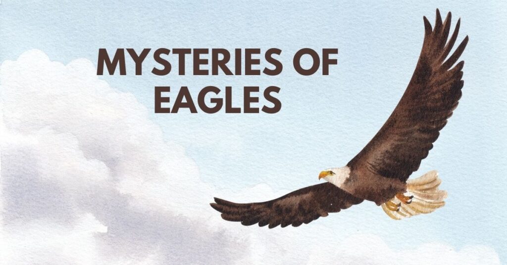 Mysteries of Eagles