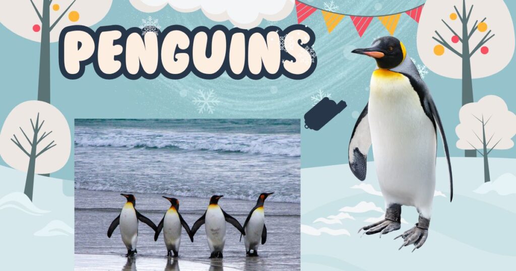 Penguins